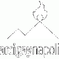 Logo Arcigay Napoli - Antinoo (alternativo).gif