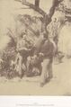 Giovanni Crupi nel giardino di Gloeden - Circa 1900.jpg